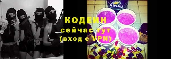 стаф Няндома