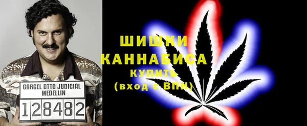 стаф Няндома