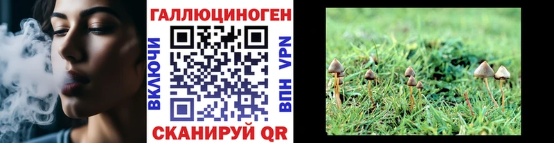 Галлюциногенные грибы мухоморы  Пудож 