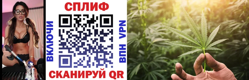 Каннабис конопля  blacksprut как зайти  Пудож 